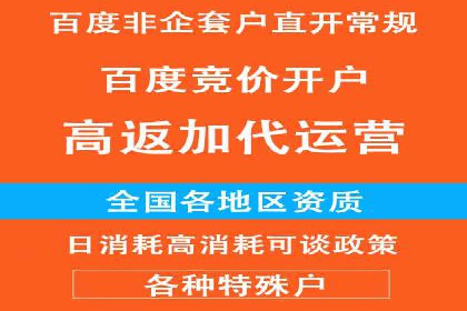 百度竞价排名策略优化：某公司广告投放效果翻倍的秘诀